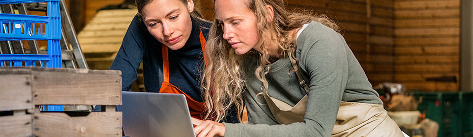 Raiffeisenbank Eg Baunatal Online Banking Firmenkunden